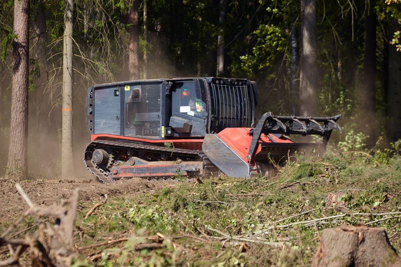 Rubber Mulching Cost Insights — Cost of Rubber Mulching