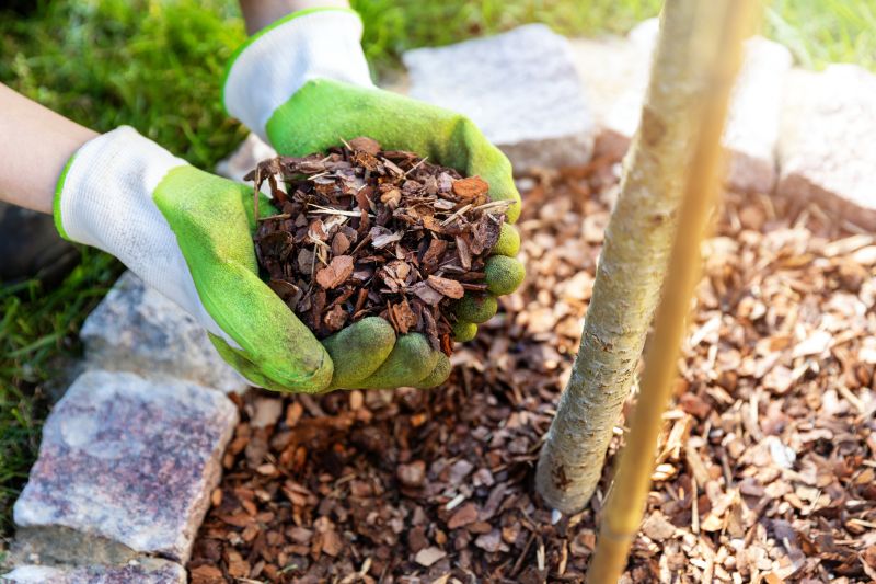 Rubber Mulching Cost Insights — Cost of Rubber Mulching