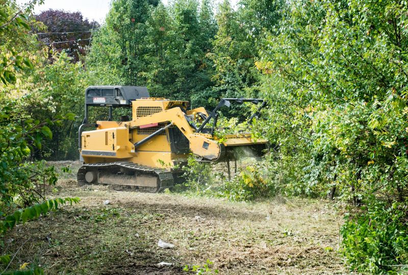Rubber Mulching Cost Insights — Cost of Rubber Mulching